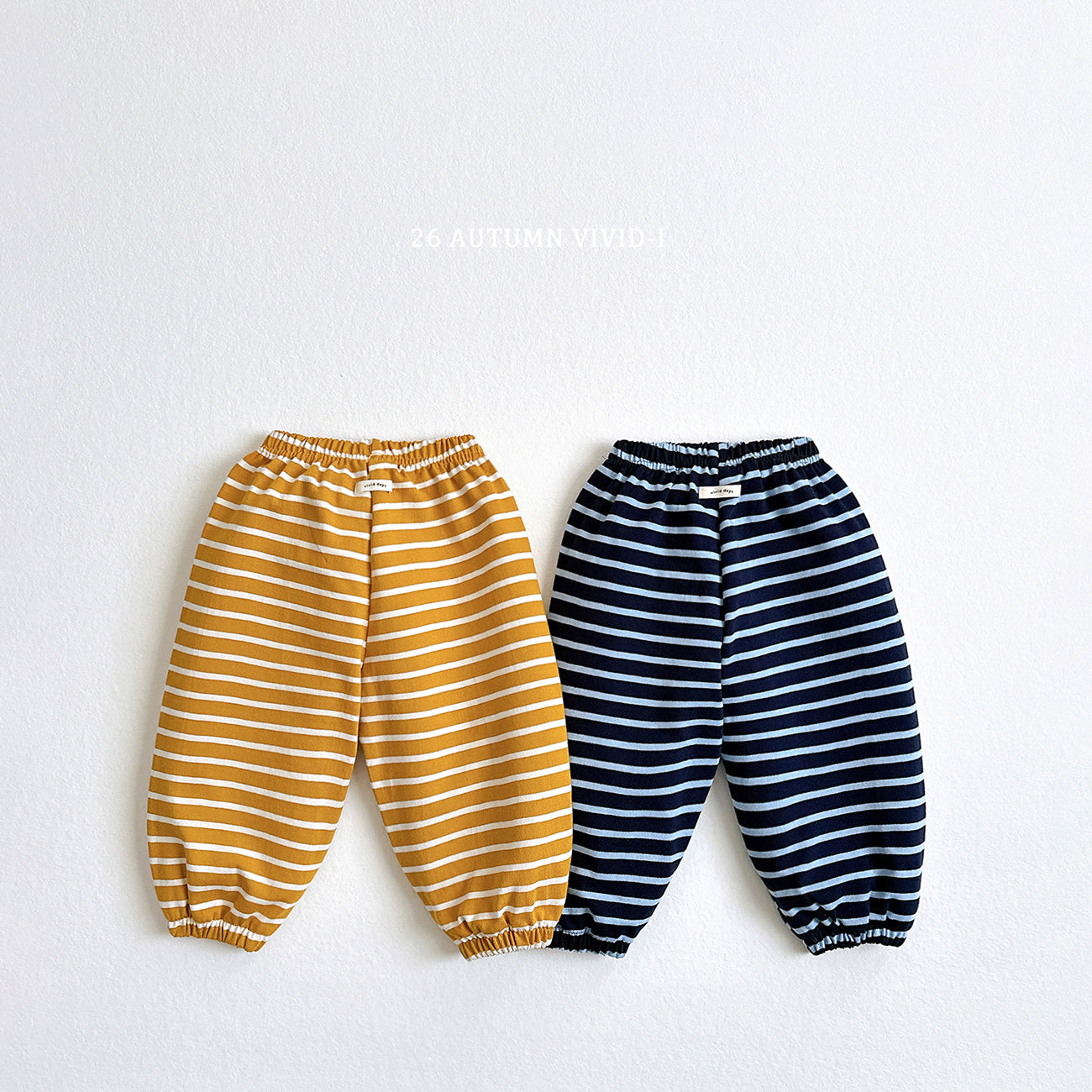 Striped Pants-vivid-i-9