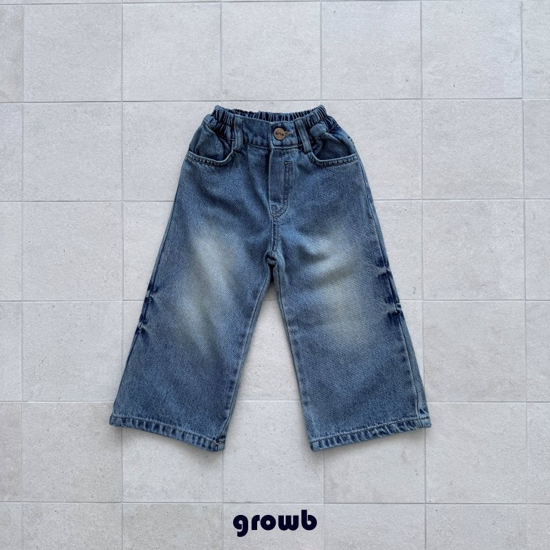 Domingo Denim Pants-growB-21