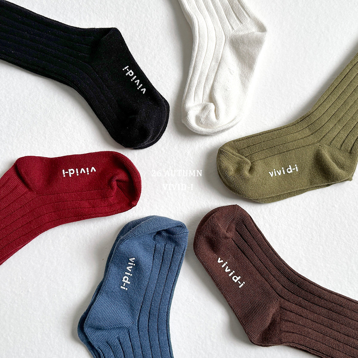 Vivid Socks-vivid-i-111