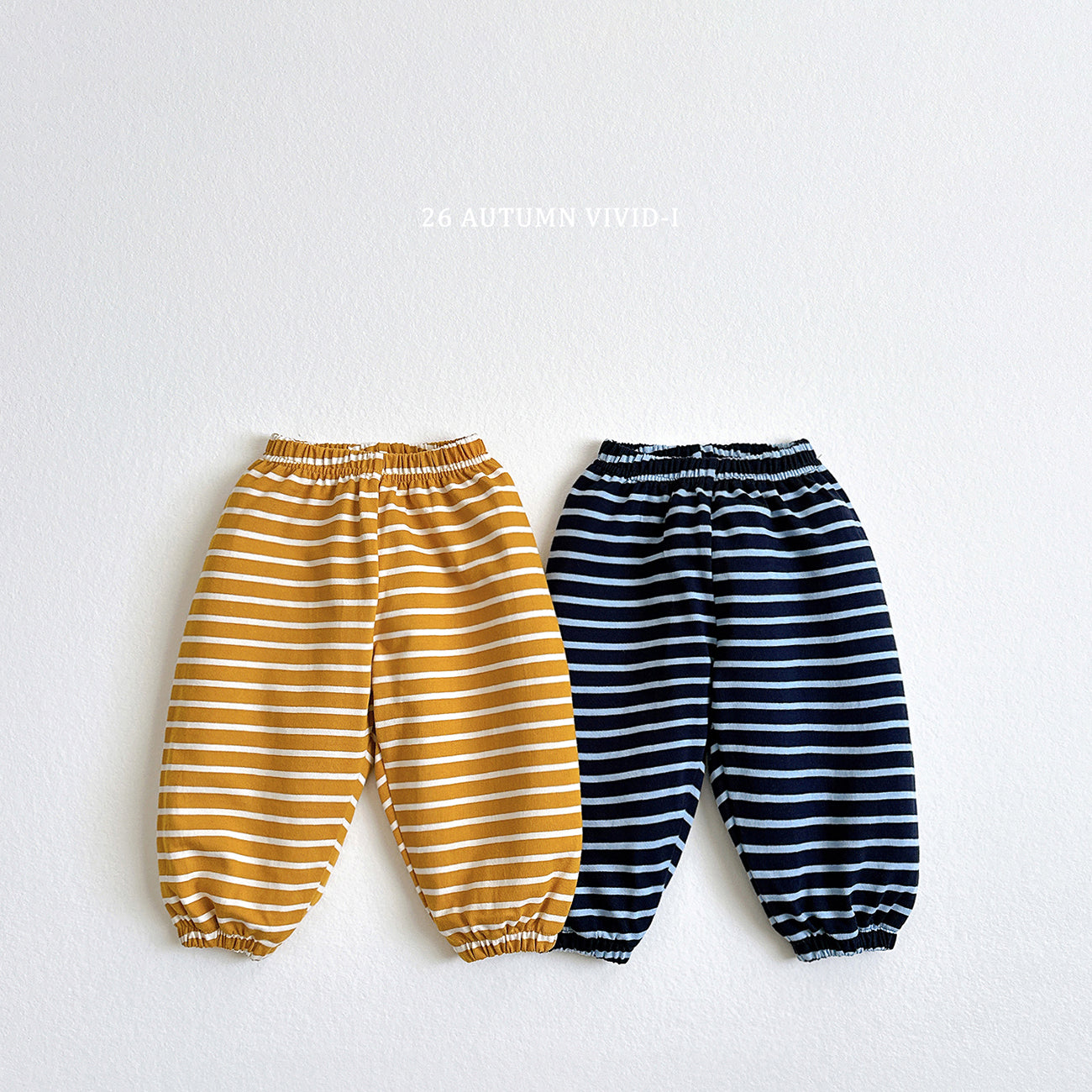 Striped Pants-vivid-i-9