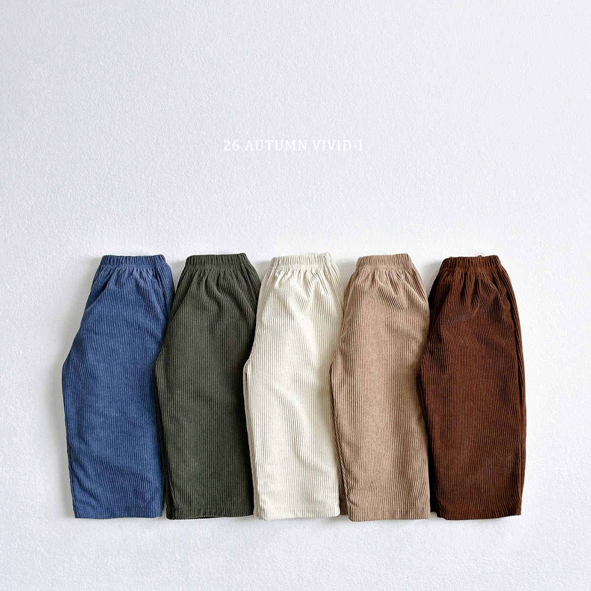 Corduroy Pants-vivid-i-14