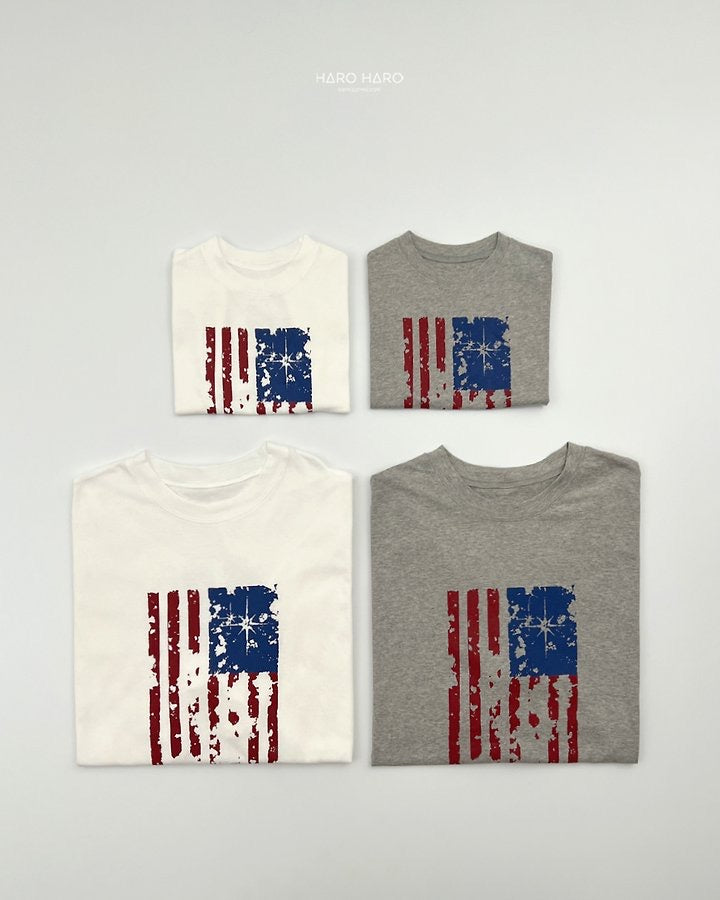 Flag Box T-haroharo-53