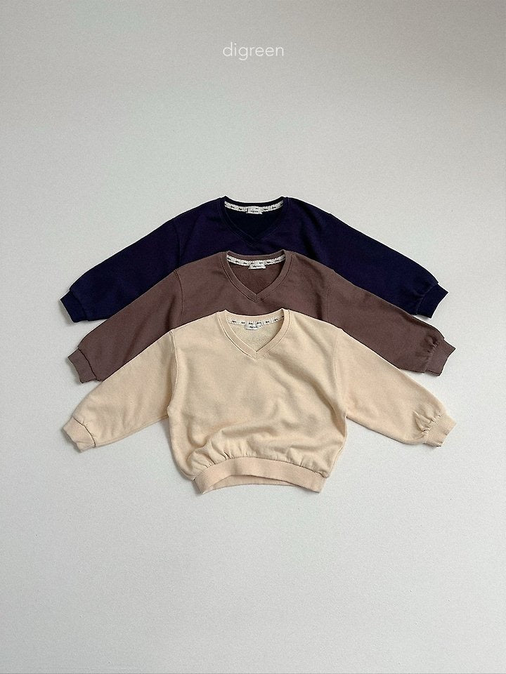 teddy v sweatshirt-digreen-28