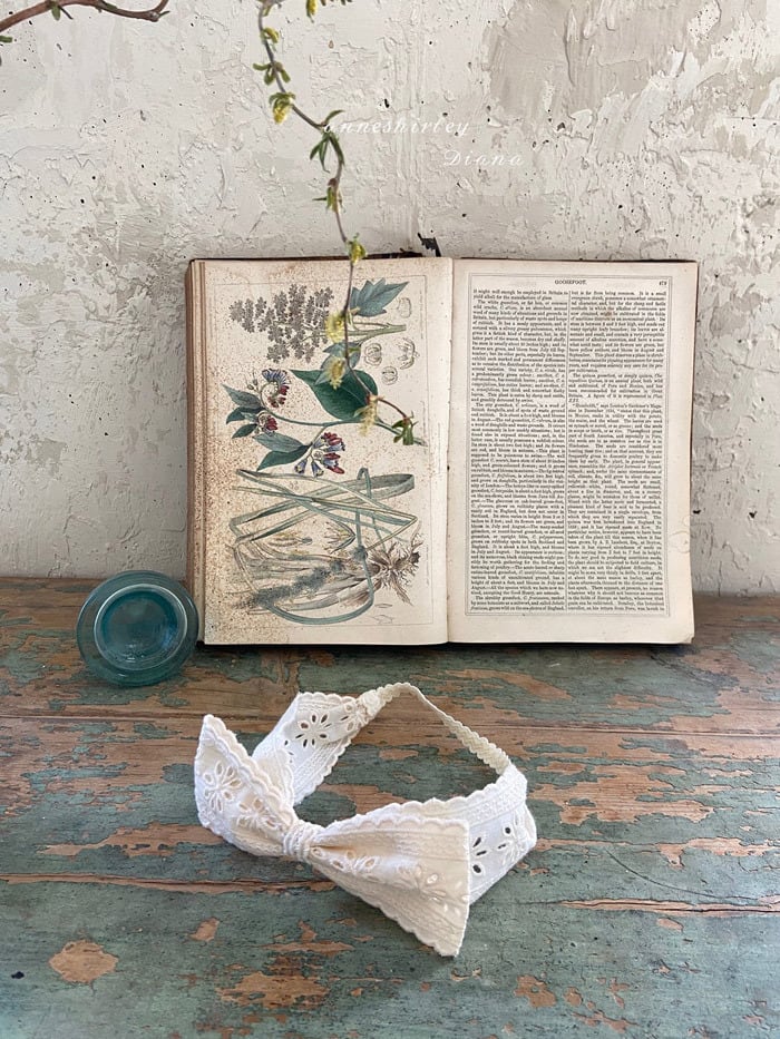 ｜即納｜lace hair band / anneshirley