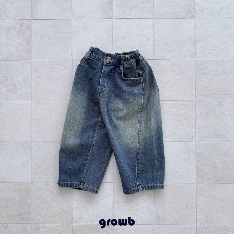 Curve Denim Pants-growB-20
