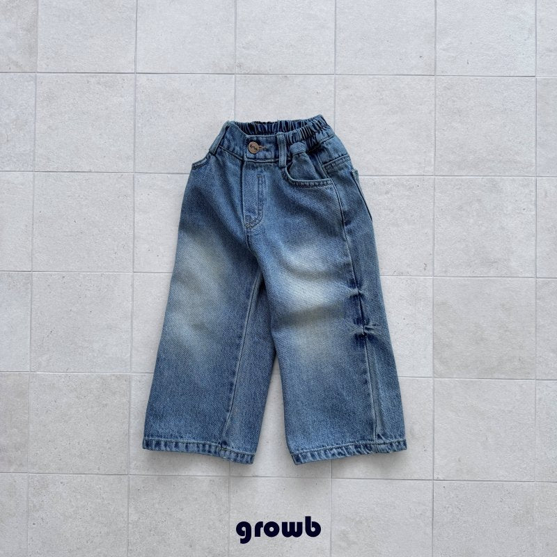 Domingo Denim Pants-growB-21