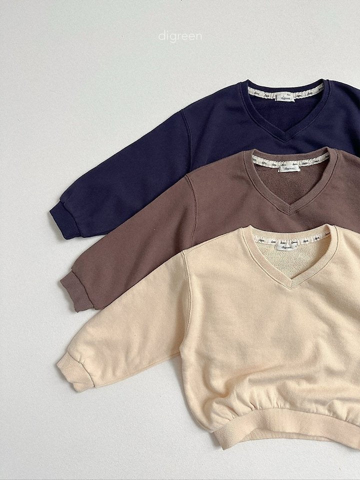 teddy v sweatshirt-digreen-28