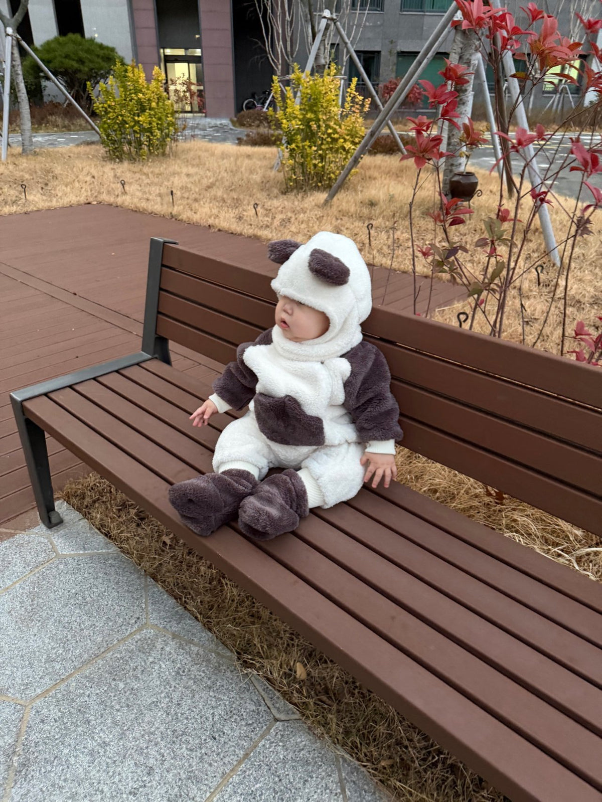 Kinder Panda Suit-here i am-7