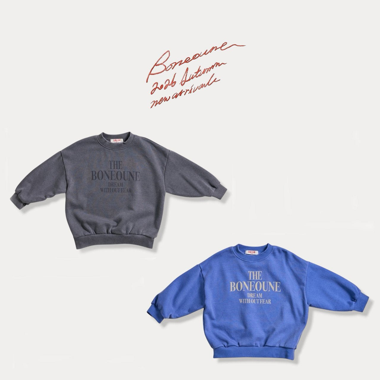 Dream Pig Sweatshirt-boneoune-13