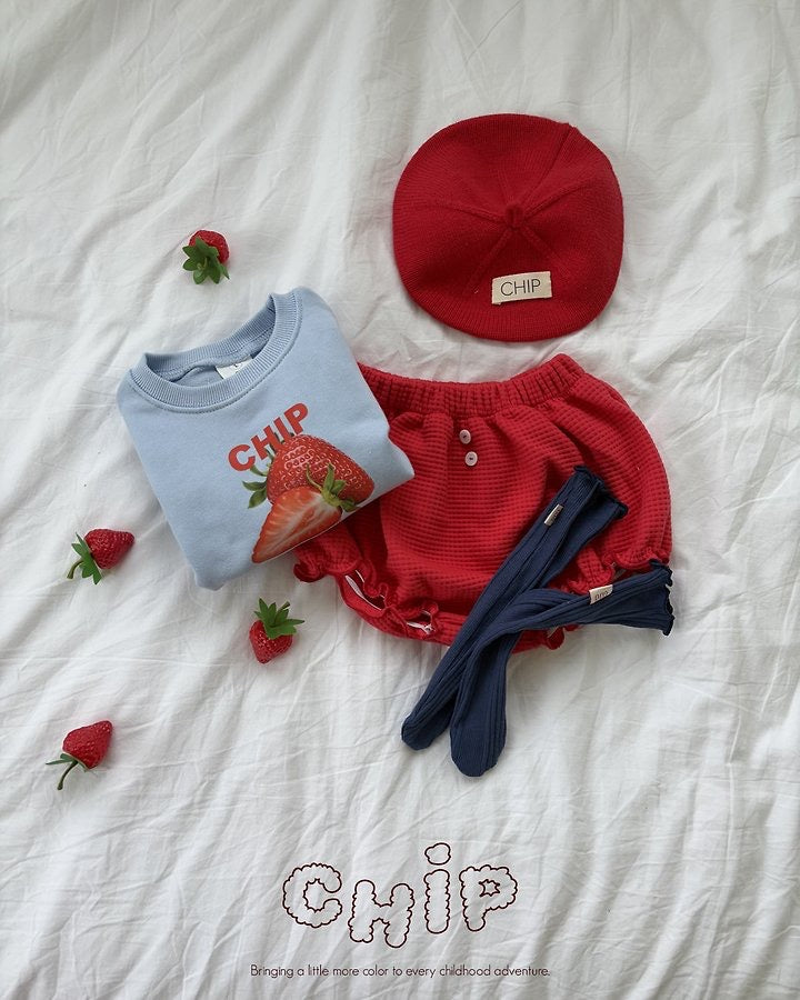 Painter Beret-chip-52