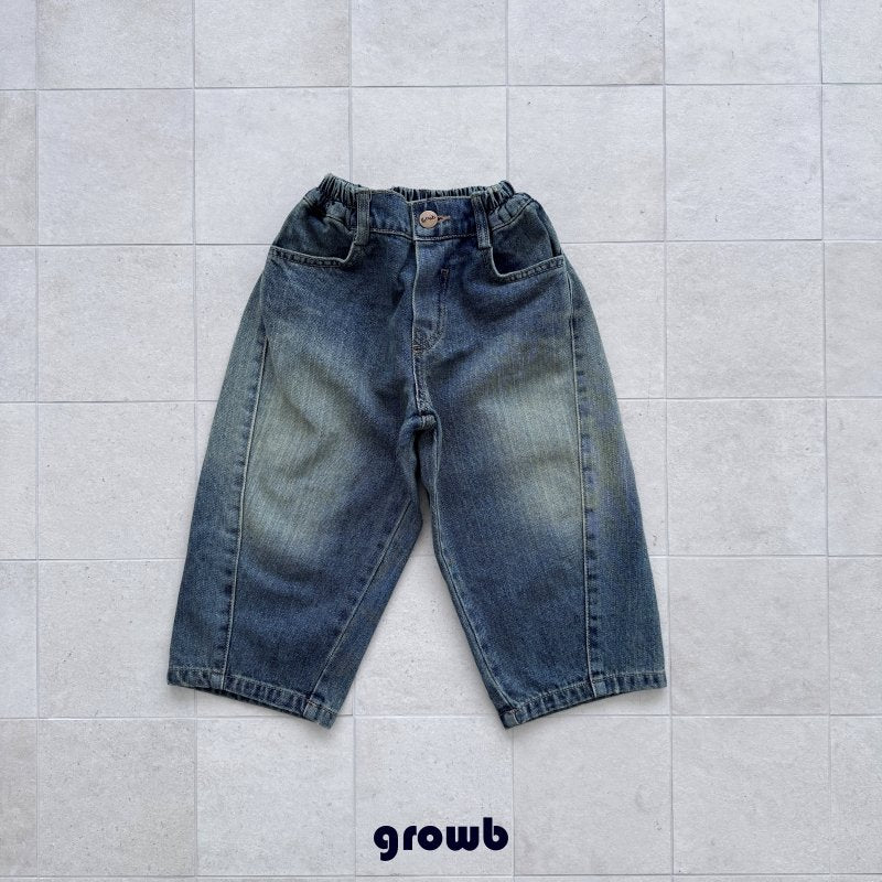Curve Denim Pants-growB-20