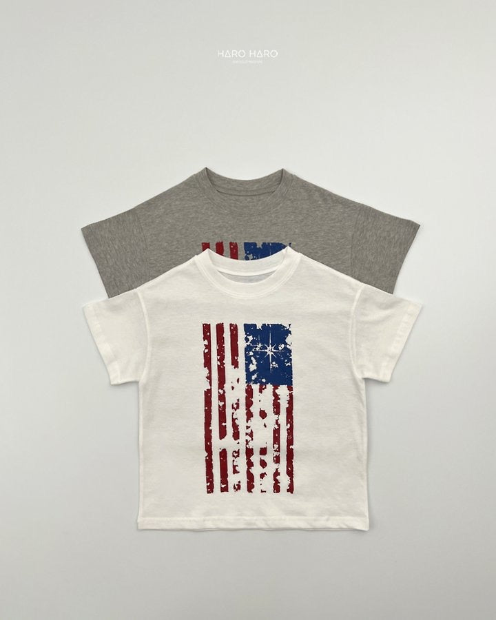 Flag Box T-haroharo-53