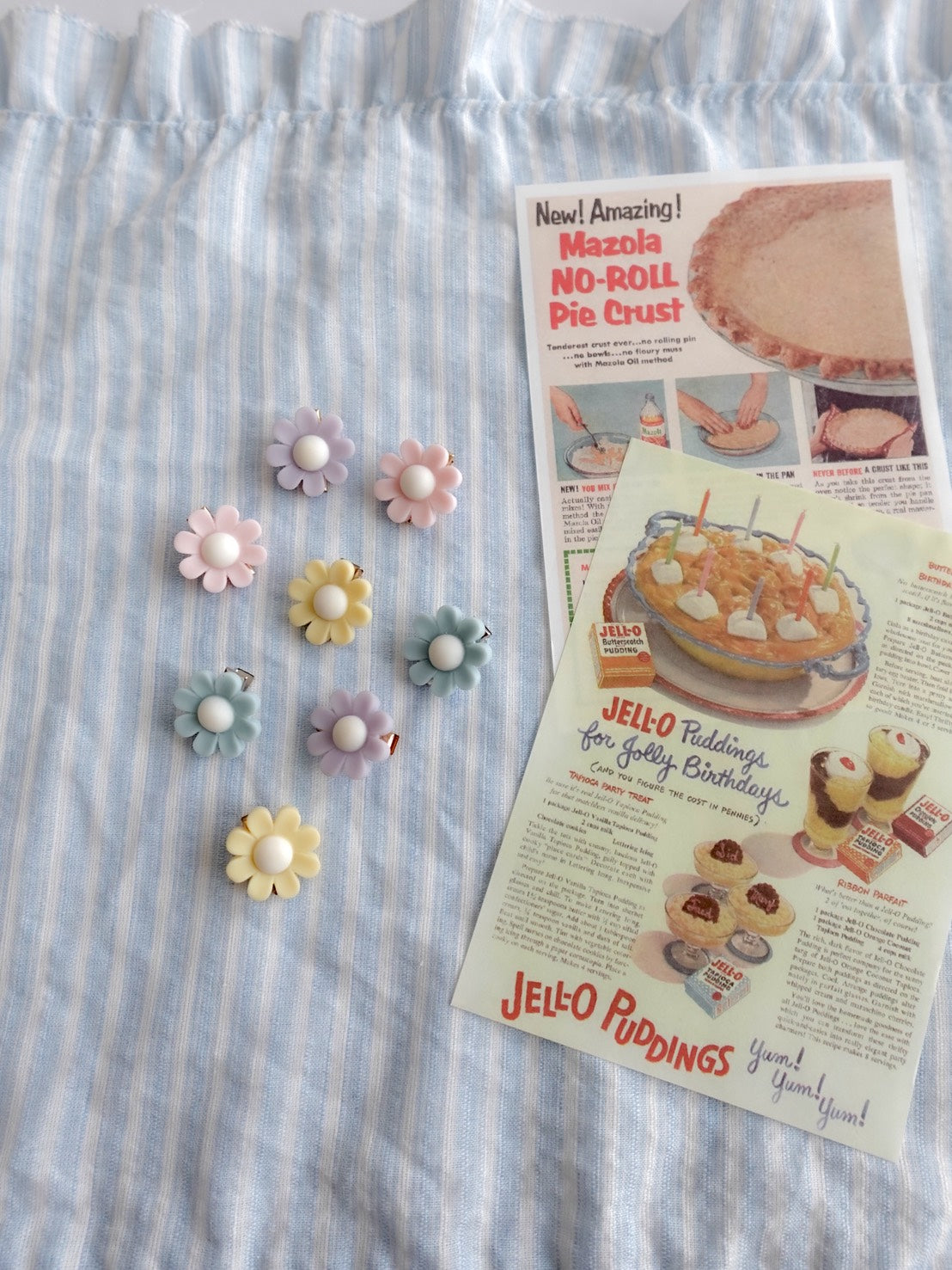 mun acc / daisy flower